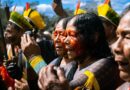 Pueblos indígenas promoverán movilizaciones en todo Brasil