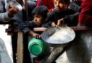 Gaza padece la principal crisis alimentaria a nivel mundial