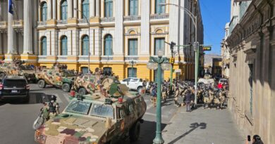 Presidente Arce denuncia “movilizaciones irregulares del Ejército Boliviano” y pide respetar democracia