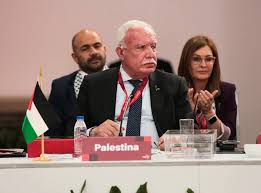 Palestina será invitada permanente a reuniones del ALBA-TCP