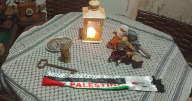 La humanidad celebra con luces la victoria de Palestina