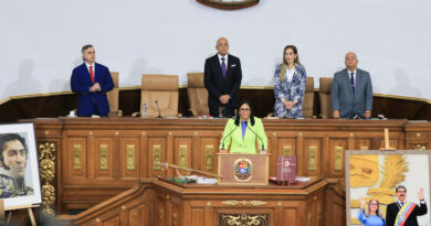 Delcy Rodríguez: «Venezuela toda está amenazada. Por eso llamo a la unión nacional»