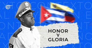 Cuba se levanta entera: HONOR Y GLORIA (Video)