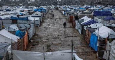 Día 121 del alto al fuego en Gaza: 576 mártires y viviendas destruidas