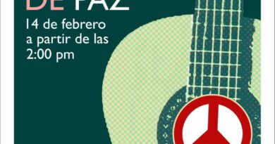 Mi amor es un arte de paz