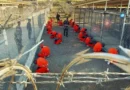 De la Enmienda Platt a la Base Naval: la historia de la usurpación imperial de Guantánamo