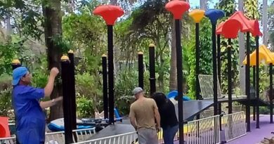 El Jardín Botánico Quinta de los Molinos,  transita por la fase final de montaje del primer parque infantil inclusivo de Cuba