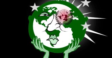 La obsolescencia de la ONU