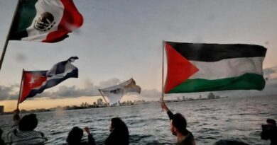 La solidaridad sí comunica