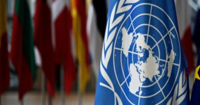 Elección de Cuba al Comité de las Organizaciones No Gubernamentales (ONG), de Naciones Unidas