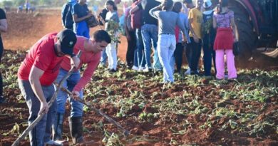 Cuba: La juventud cubana protagonizó un domingo productivo