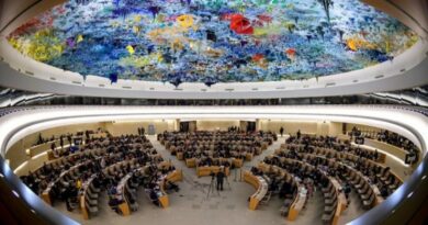 Aprobadas en la ONU tres resoluciones propuestas por Cuba