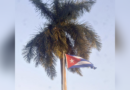 Unión Nacional de Juristas exige cese de amenazas y bloqueo contra Cuba