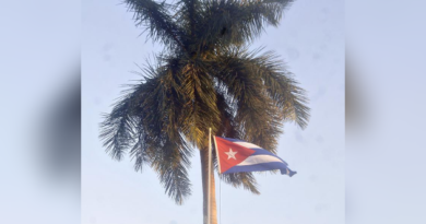 Unión Nacional de Juristas exige cese de amenazas y bloqueo contra Cuba