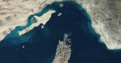 ‘Delfines del Golfo’: la Armada iraní destaca el poderío de sus submarinos desplegados en Ormuz