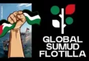 Información sobre la Marcha Global Sumud