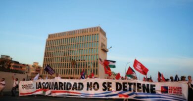 El gobierno de Estados Unidos criminaliza la libertad de expresión, el derecho de los ciudadanos estadounidenses a viajar