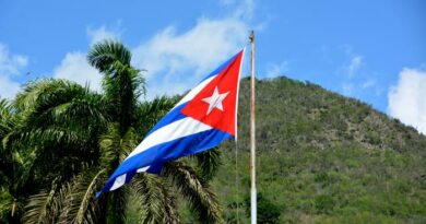 Cuba llama a garantizar el orden interior: un objetivo estratégico en tiempos de amenazas