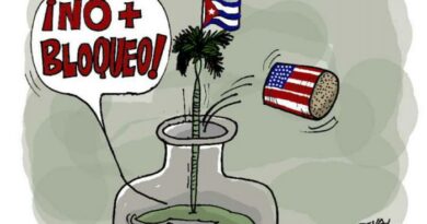 Coerción económica y amenaza naval: el asedio a la autodeterminación de Cuba