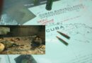 Agresión contra Cuba, la música insólita de los despistados y los sodados de PlayStation