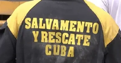 Cuba no abandona a Venezuela