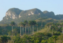 Imágenes de nuestro patrimonio natural dedicado al Día Mundial del Medio Ambiente (+ Fotos)