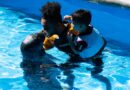 ¡Primer día del Festival Pa’ Cuba en el Acuario Nacional!