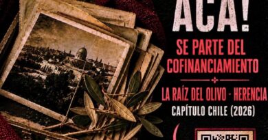 Hoy lanzamos oficialmente la campaña de financiamiento colectivo de La Raíz del Olivo: Herencia