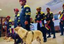 Regresó brigada de rescatistas cubanos tras misión en Venezuela
