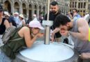 Ola de calor extremo deja más de 11 500 muertos en Alemania, Francia y Reino Unido