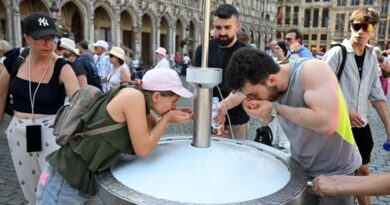 Ola de calor extremo deja más de 11 500 muertos en Alemania, Francia y Reino Unido