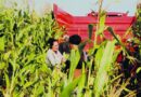 Cuba: Agilizar la entrega de tierras y fortalecer el papel de las cooperativas