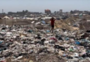 El calor y falta de higiene disparan las plagas en los campamentos de Gaza
