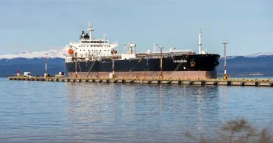 Embarcados en el entreguismo: Un petrolero británico atracó en Tierra del Fuego