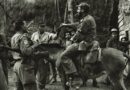 Fidel