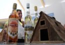 Transformaciones en el turismo cubano ganan aceptación empresarial (+ Video)