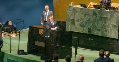 La fuerza como doctrina: Waltz, el bloqueo y la ONU